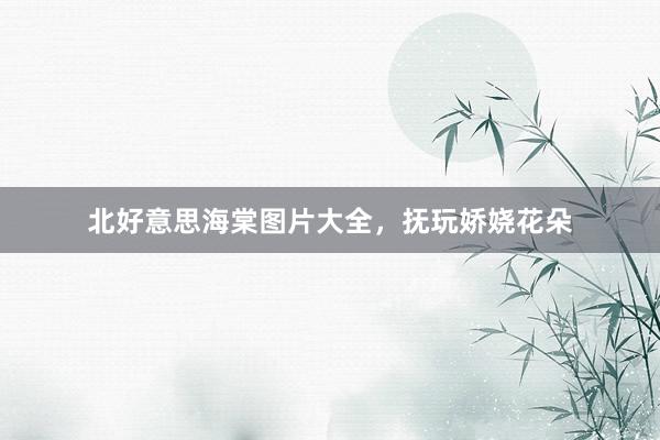 北好意思海棠图片大全，抚玩娇娆花朵
