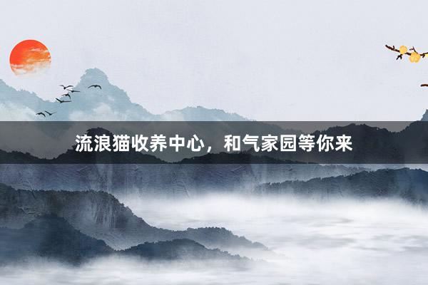 流浪猫收养中心，和气家园等你来