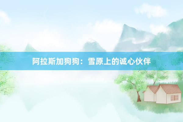 阿拉斯加狗狗：雪原上的诚心伙伴