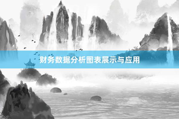 财务数据分析图表展示与应用